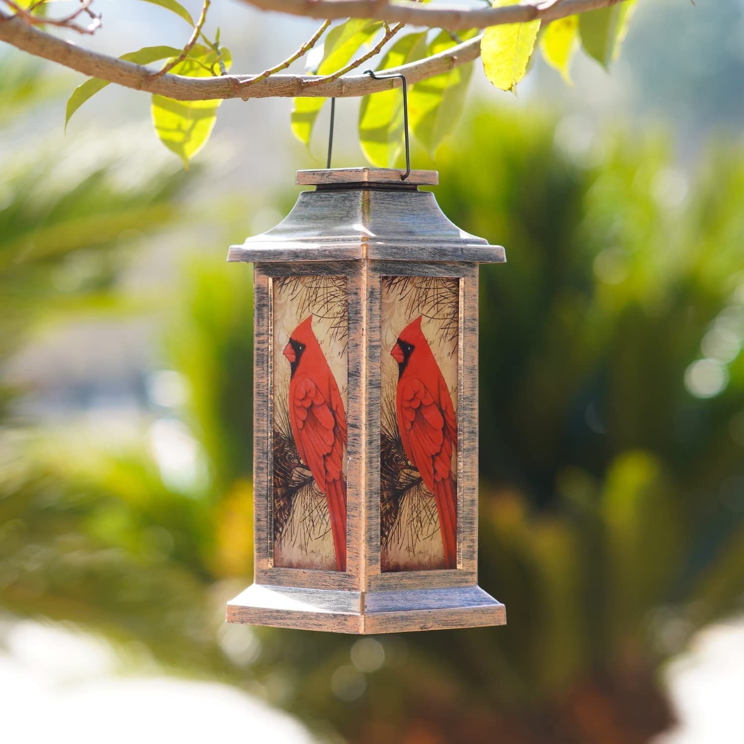 Charming Cardinal Outdoor Lamp Lantern